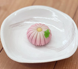 姫菊