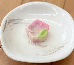 桃の花
